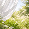 Breeze