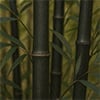 Black Bamboo