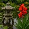 Asian Garden aka Aria